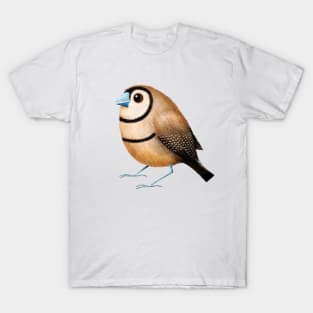 Double-Barred Finch T-Shirt